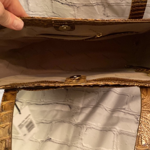 Brahmin - Picture 6 of 9